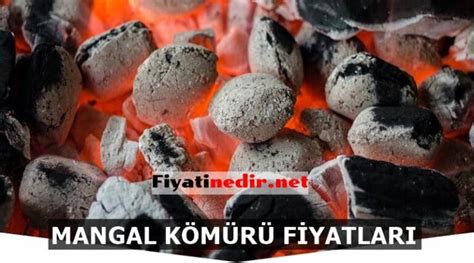 Mangal Kömürü Nedir?