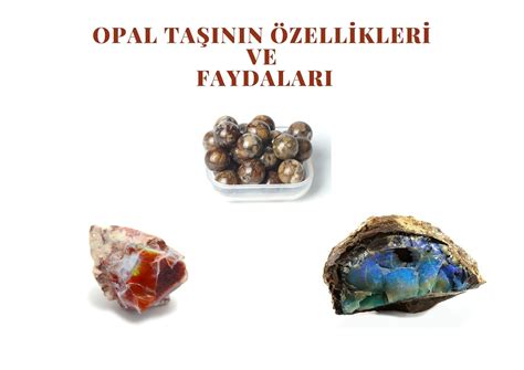 Mangal Taşının Faydaları