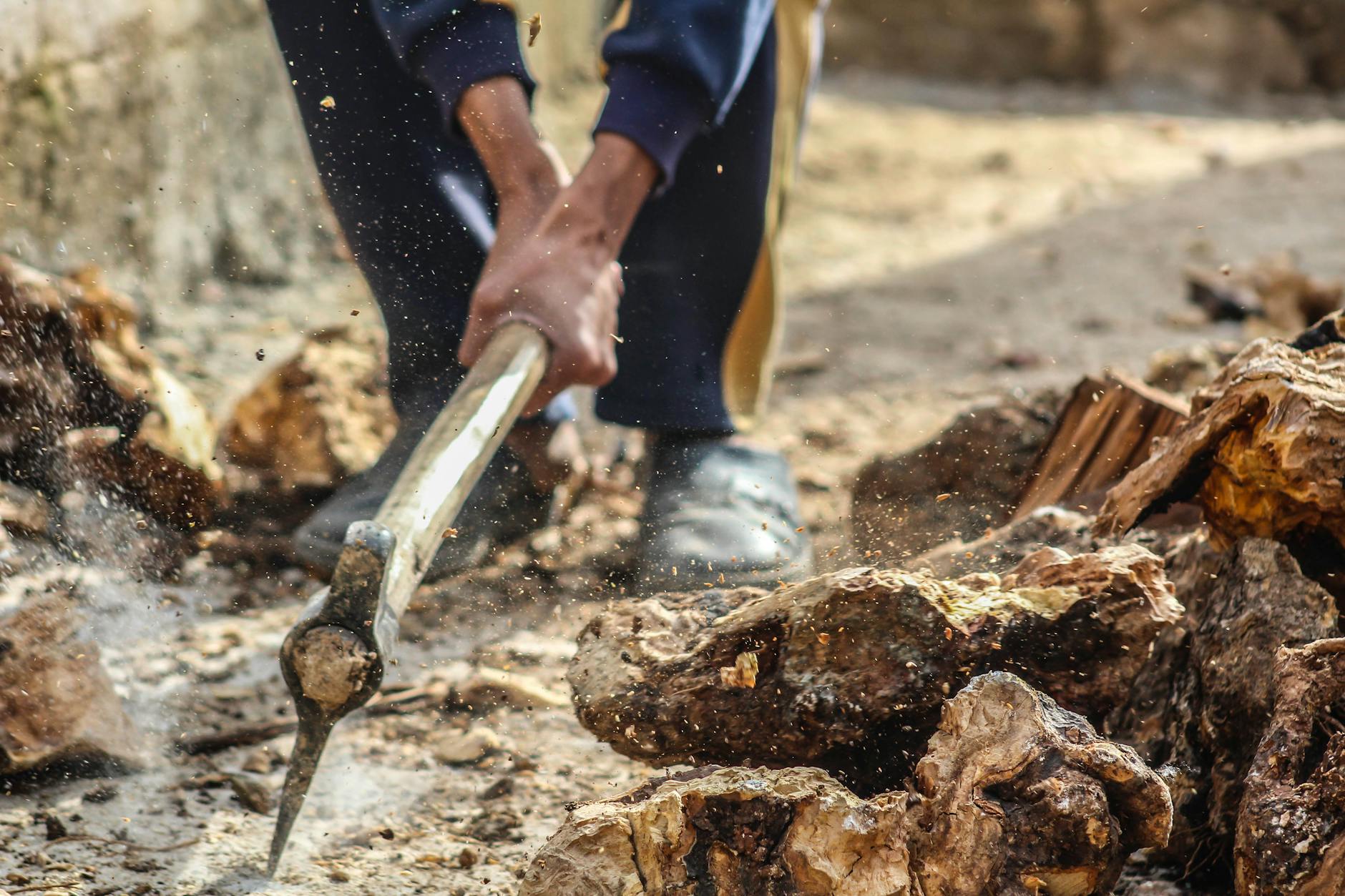 Kamp Baltası ve Doğa İçin Sürdürülebilir Seçimler